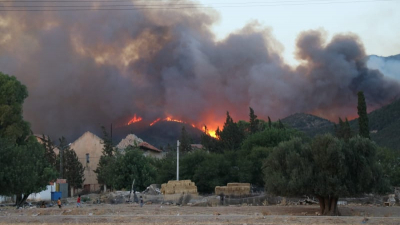 برج السدرية : اقتراب الحرائق من المنازل والجزائر ترسل المساعدة في الساعات القليلة القادمة 