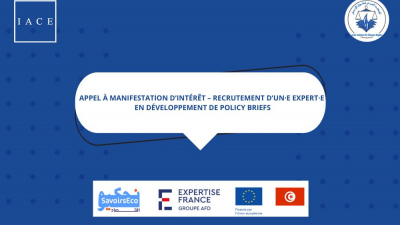 Appel à manifestation d’intérêt – Recrutement d’un·e Expert·e en développement de policy briefs